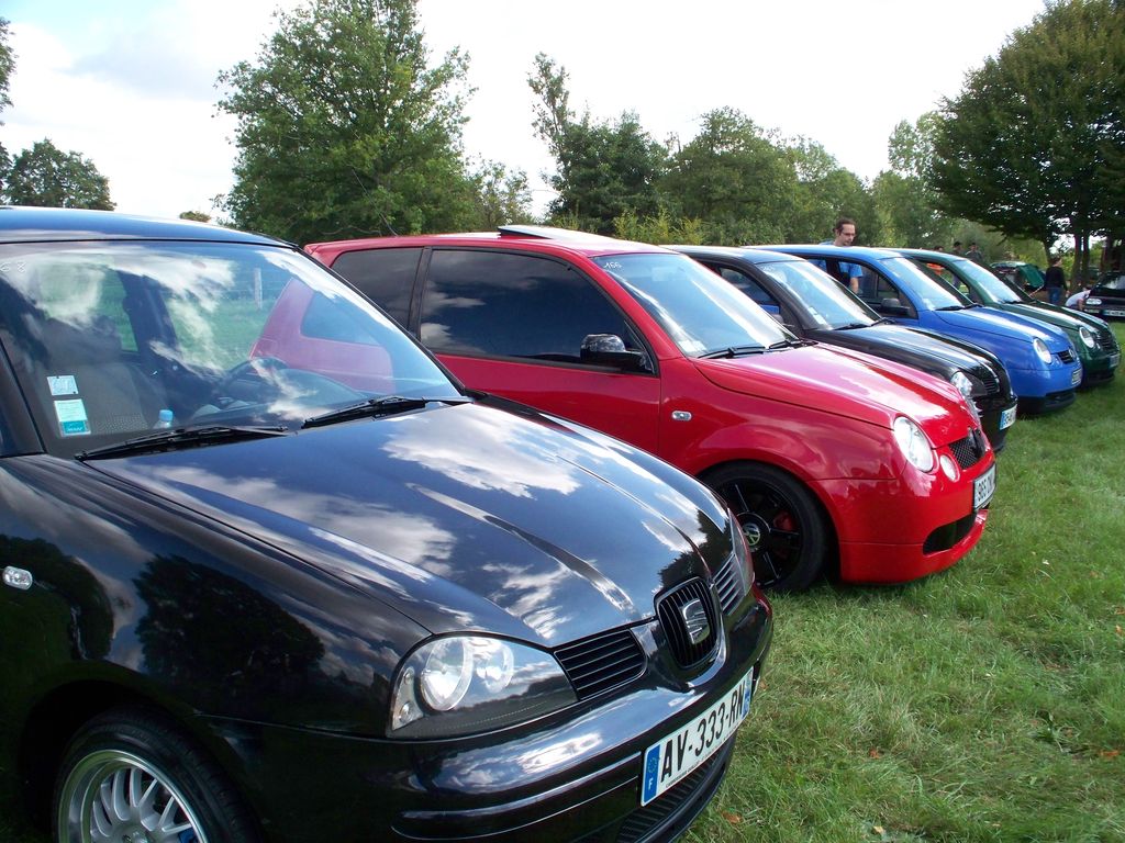 delsol
